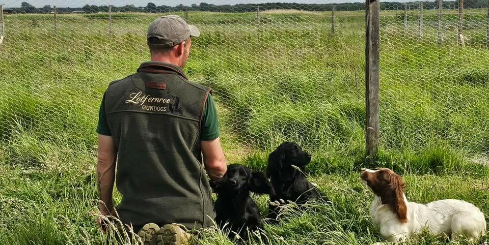 lotfernroe Gundogs